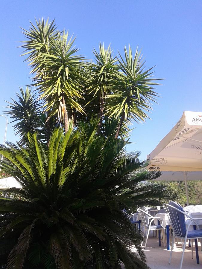 Hotel Jovana Budva Bagian luar foto